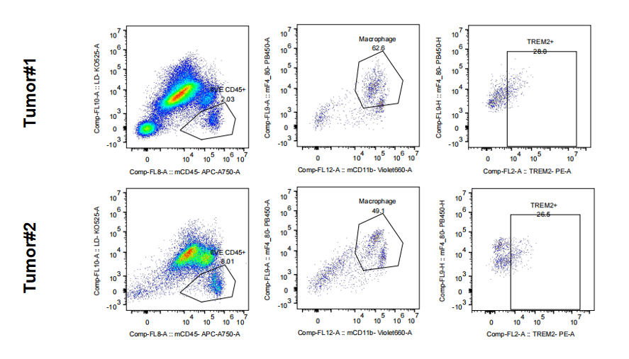 明星靶点 TREM2，阿尔兹海默症和癌症治疗的新希望