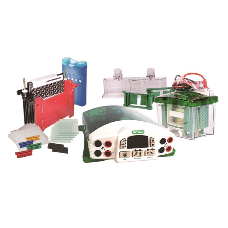 Bio-Rad伯乐1658033小型垂直电泳仪组合套装  