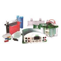 Bio-Rad伯乐1658033小型垂直电泳仪组合套装