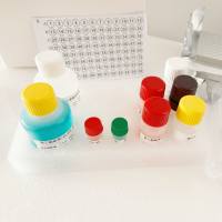 人葡萄糖依赖性胰岛素释放多肽(GIP)酶联免疫(Elisa)试剂盒