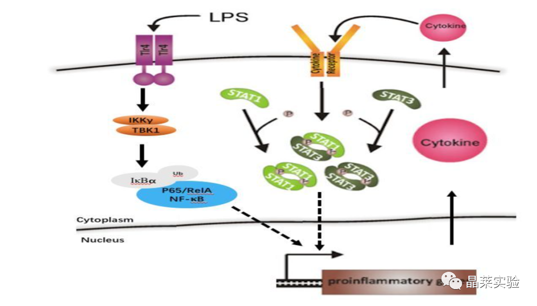 技术资料图片12