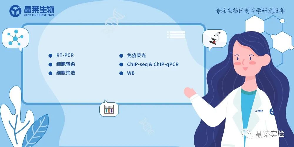 技术资料图片20