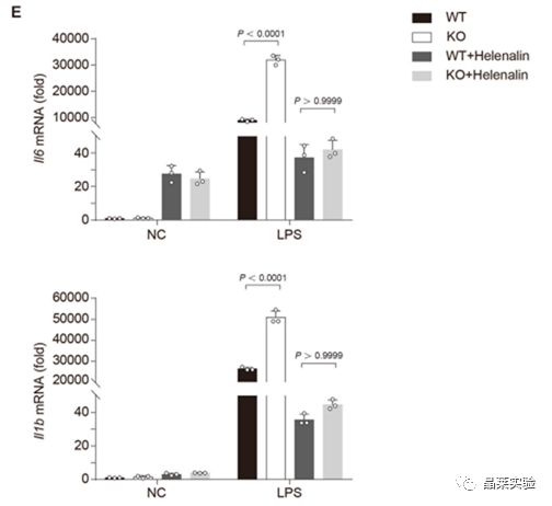 技术资料图片11