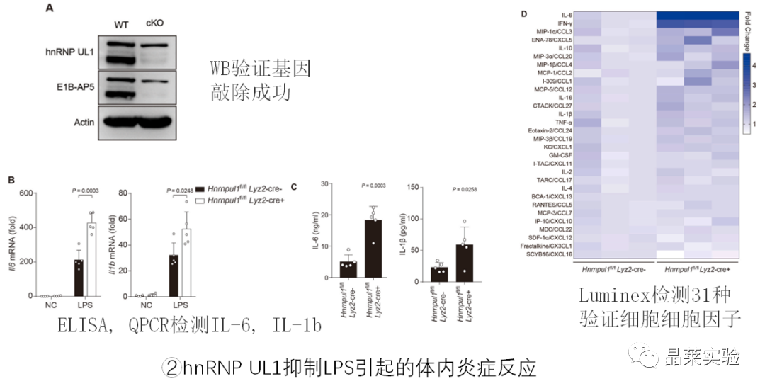 技术资料图片7