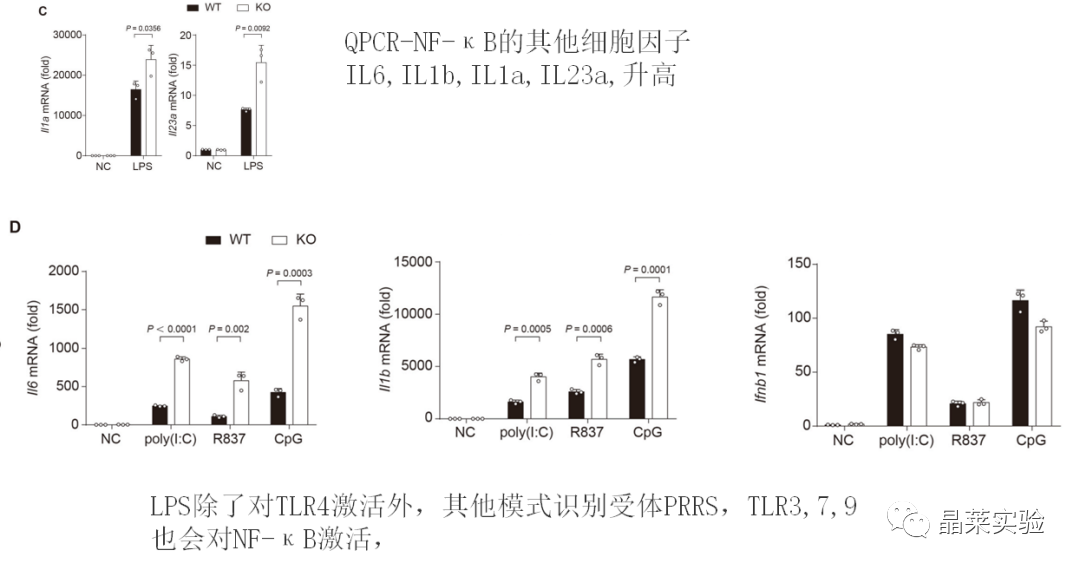 技术资料图片10