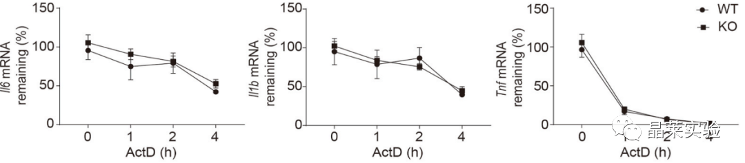 技术资料图片15