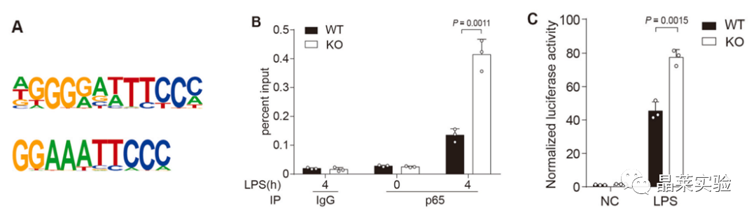 技术资料图片18
