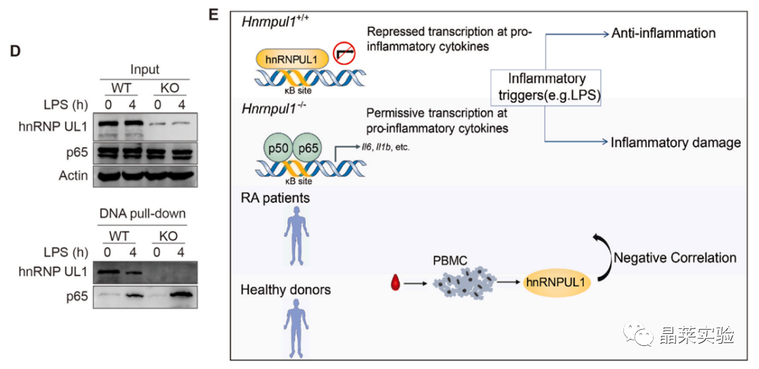 技术资料图片19