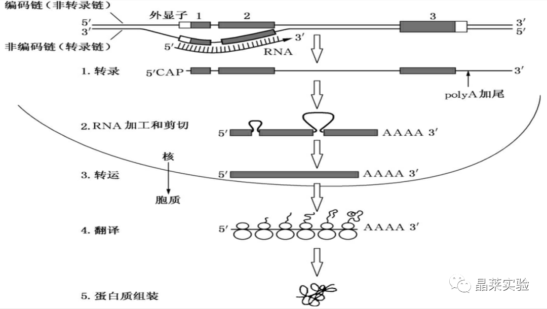 技术资料图片13