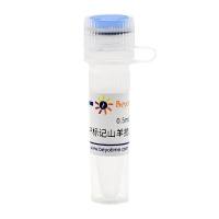 碱性磷酸酯酶标记山羊抗小鼠IgG(H+L)