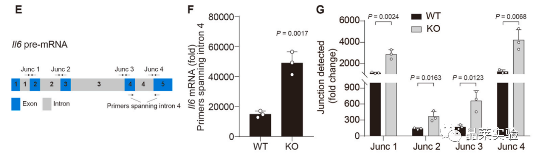技术资料图片16