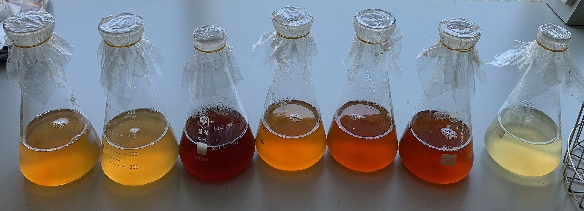 配制培养基时的注意事项以及常见问题分析