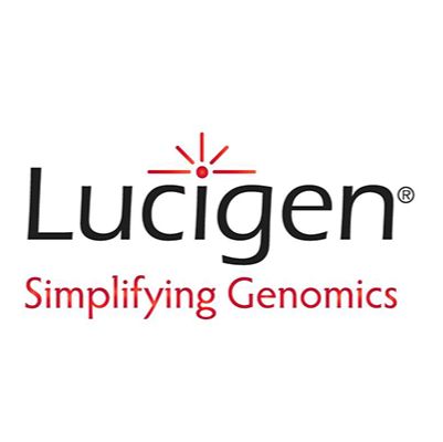 Ampligase® DNA Ligase Kit
