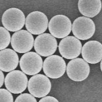  多肽/抗体/蛋白质修饰偶联上转换发光纳米颗粒(UCNPs)