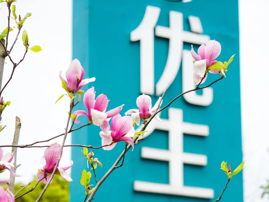 产前 B 超|「股骨短」的宝宝就是发育异常吗？
