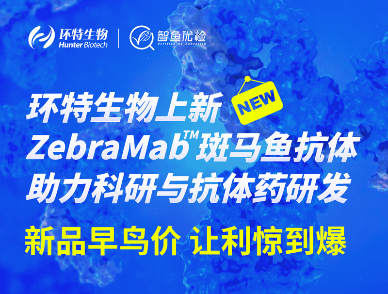 新品早鸟价，让利惊到爆丨环特生物上新Zebrafish斑马鱼抗体，助力科研与抗体药研发
