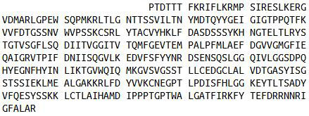 肾素(REN)真核蛋白