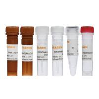 SV40LTA&E1A残留DNA检测试剂盒