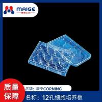12孔细胞培养板（整箱）