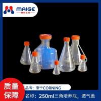 250ml三角培养瓶，透气盖（整箱）
