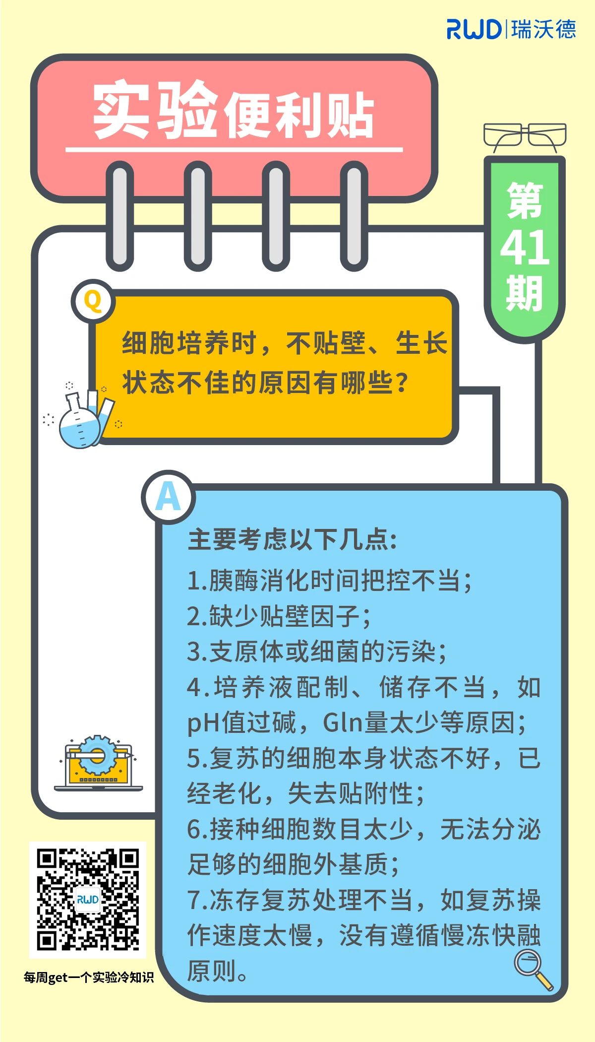 细胞培养时，不贴壁、生长状态不佳的原因有哪些？