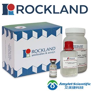 抗小鼠RANK-L（兔）抗体-210-401-C22|Anti-Mouse RANK-L (RABBIT) Antibody - 210-401-C22