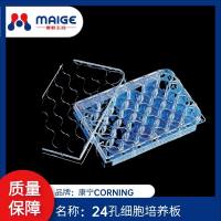 24孔细胞培养板（整箱）