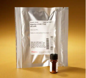 62249- DAPI and Hoechst Nuclei