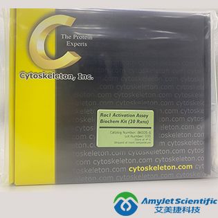 Signal-Seeker乙酰赖氨酸化富集试剂盒（10 assays）|Signal-Seeker Acetyl-Lysine Enrichment Kit (10 assays)