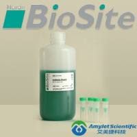 免疫印迹抗体稀释液由BSA、去污剂和抗体稳定剂组成|s Antibody Diluent for Western Blotting consists of BSA, detergent and antibody stabilizer