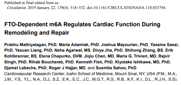 Circulation l 心血管领域的m6A研究佳作