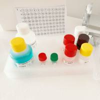 小鼠环磷酸腺苷(cAMP)酶联免疫(Elisa)试剂盒