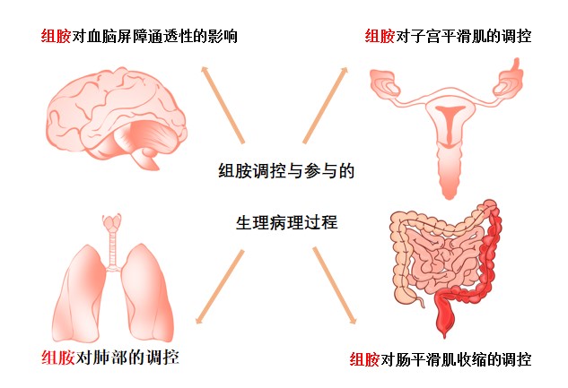 组胺的检测方法