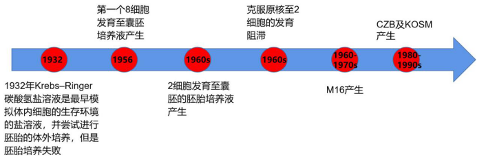 小鼠研究院丨关于小鼠胚胎培养液 多的是你不知道的事