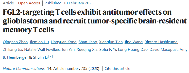 科研赋能丨云舟生物助力上海交通大学医学院附属第一人民医院发现脑肿瘤治疗的新思路