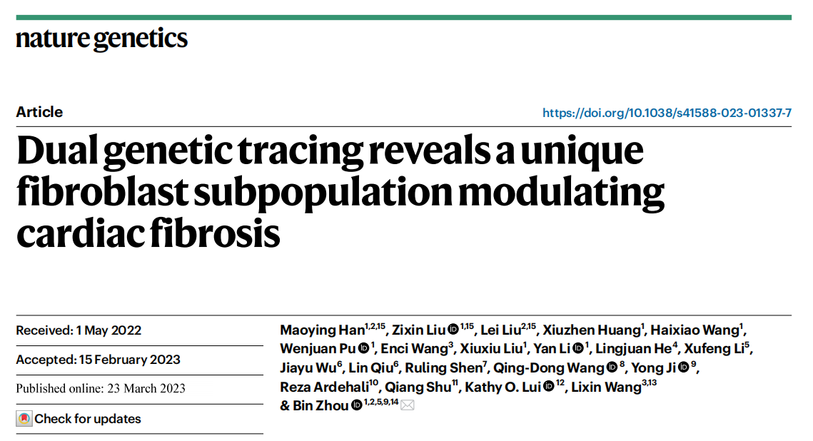 Nature Genetics | 南模生物助力揭示心内膜起源的成纤维细胞调控心脏纤维化