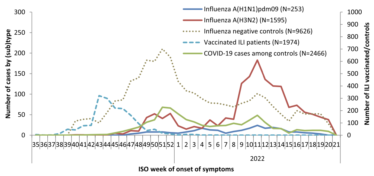 甲流年年有，今年也别慌