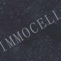 IPS人多能干细胞（STR鉴定报告）