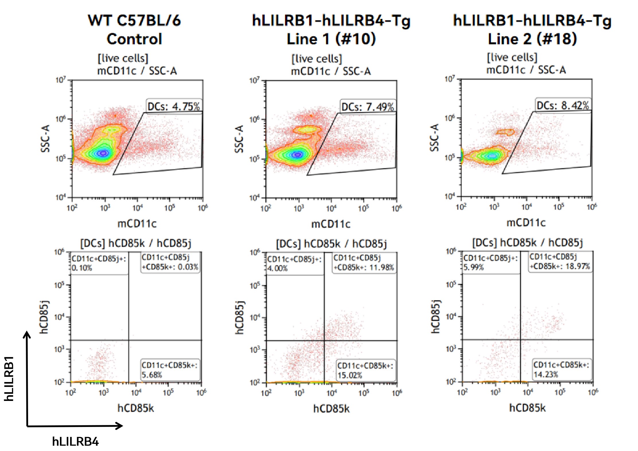 抗癌理想靶点新选择：LILRBs