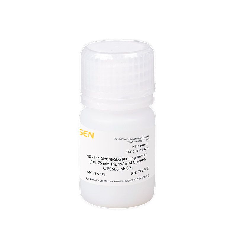 10×Tris-Glycine-SDS电泳缓冲液(蛋白质SDS-PAGE电泳缓冲液)
