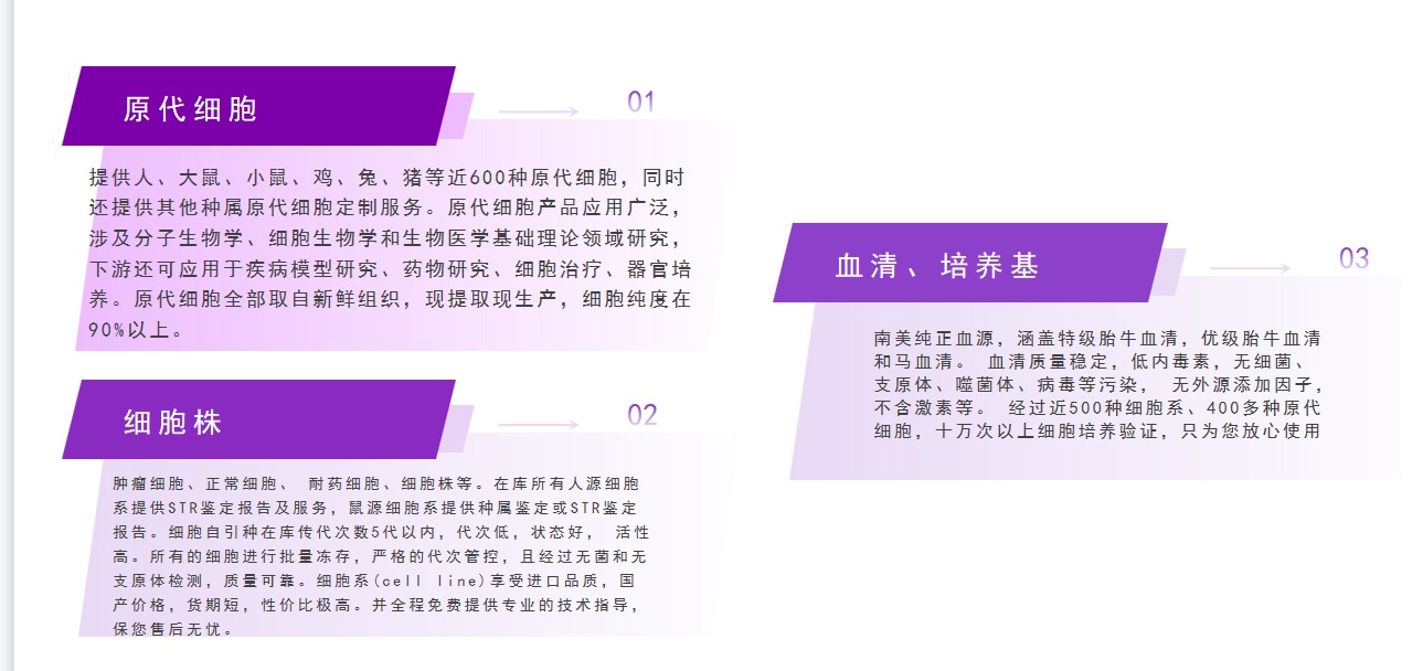 人心肌细胞AC16 (STR鉴定正确)