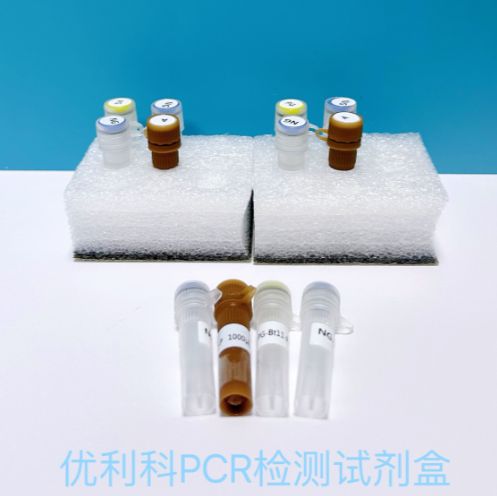 洋葱伯克氏菌PCR试剂盒