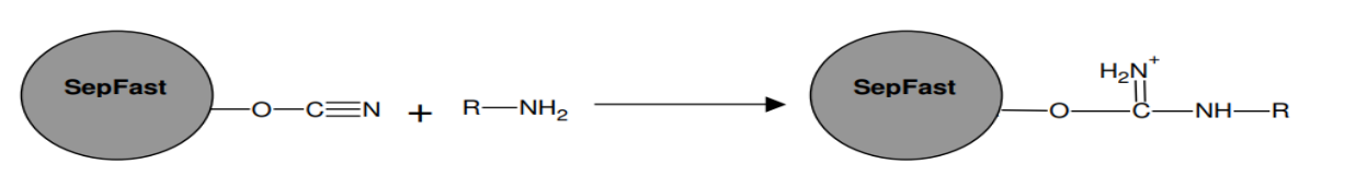 CNBr活化琼脂糖介质4HF