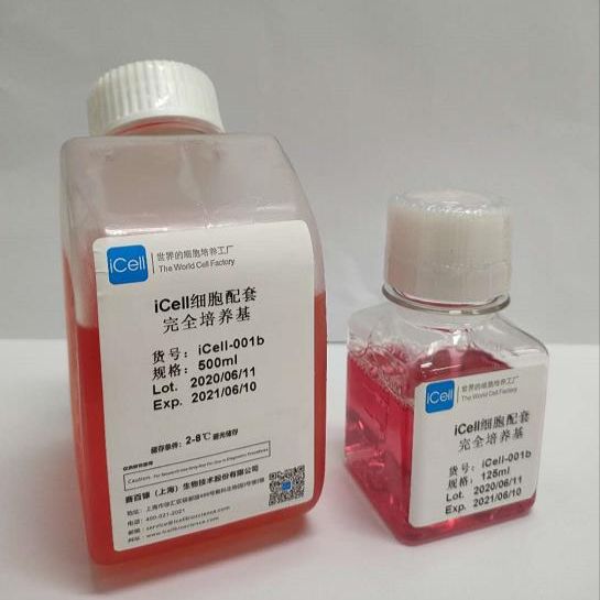 KYSE-510 细胞专用培养基  赛百慷生物
