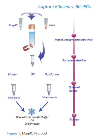 艾美捷 Mag 4C保存缓冲液#LVB1000解决方案