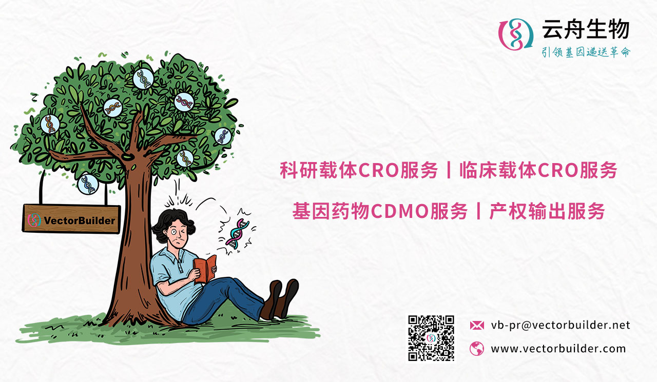 产品细节图片2