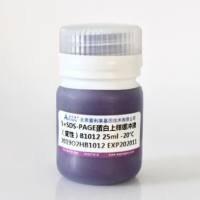 蛋白上样缓冲液