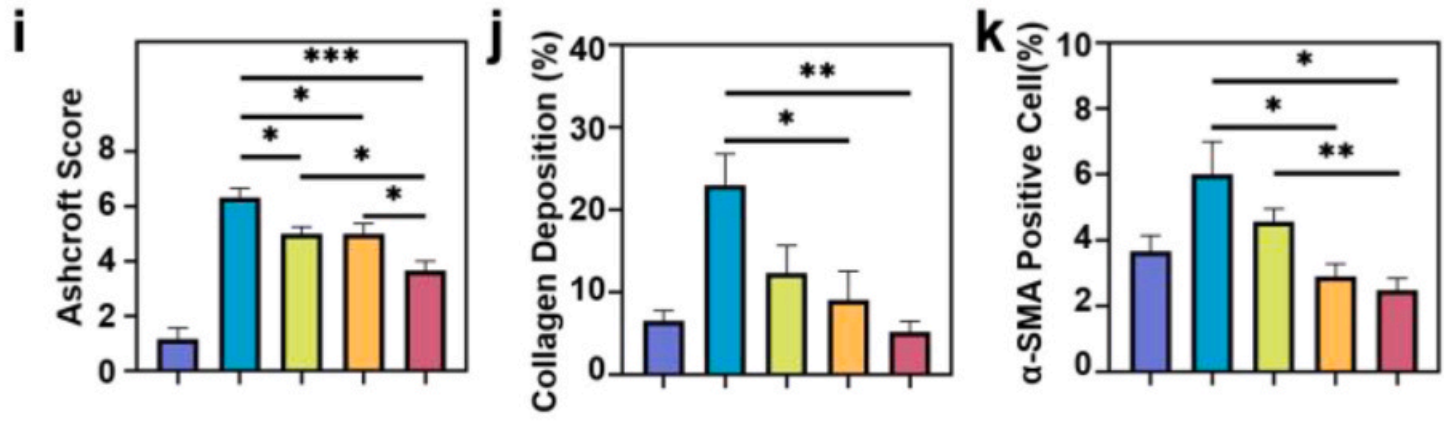 WBP 全身体积描记系统在肺纤维化研究中的应用