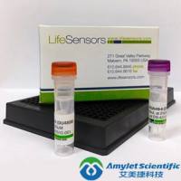 pE-SUMOpro3 Amp原核表达试剂盒(Amp载体)|pE-SUMOpro3 Amp Kit