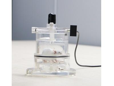 WBP 全身体积描记系统在肺纤维化研究中的应用